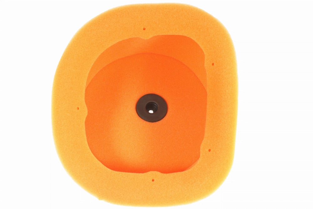 Twin Air Luchtfilter Bio ingeolied voor Powerflow kit 154214C