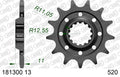 AFAM voortandwiel 13 tands Ducati Desmo 450 MX 2026