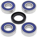 All Balls achterwiel lagers 25-1220