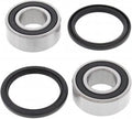 All Balls achterwiel lagers 25-1550