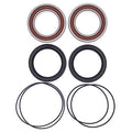 All Balls achterwiel lagers 25-1612