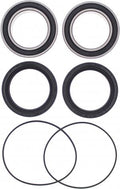 All Balls achterwiel lagers 25-1617