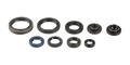 CENTAURO Oil seals set Sherco SE-R 250/300 2014-2020