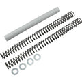 Race tech veren ( per set van 2 ) RT FK SPR 36.8x472 .46kg