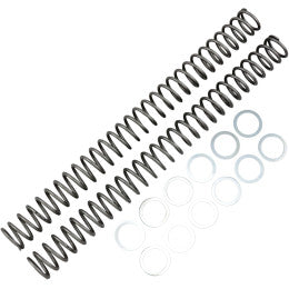 Race tech veren ( per set van 2 ) RT FK SPR 41.2x462 .44kg