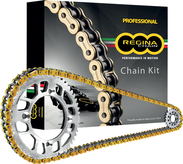 Regina Kettingkit 525 ZRP Z-ring 124 schakels goud + 16T + 42T staal (Klink)
