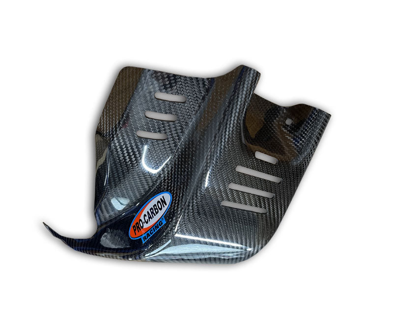 Pro Carbon blokbeschermer KTM SX-F 450 2011-2012